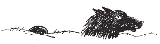 Подарки фей - pic_79.png