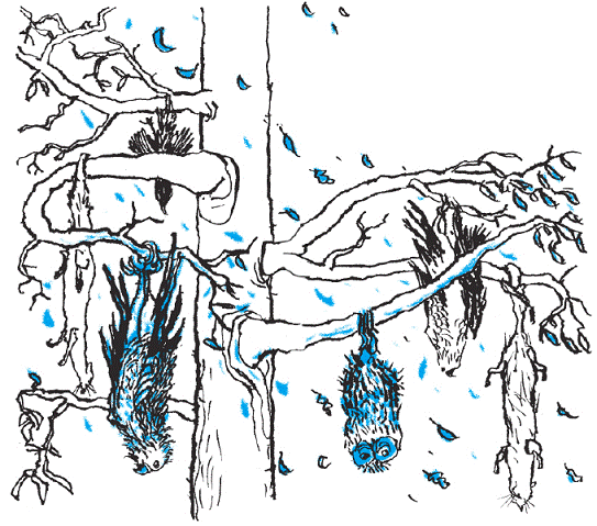 Подарки фей - pic_179.png