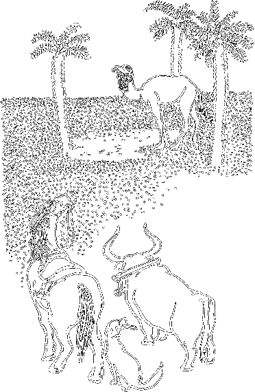 Сказки о животных (сборник) - i_007.png