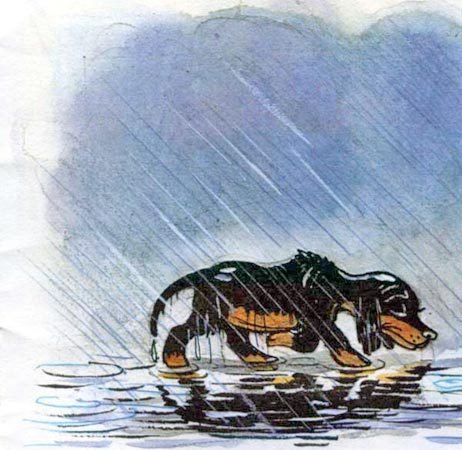 Щенок (с илл.) - i_009.jpg