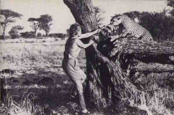 Пятнистый сфинкс. Пиппа бросает вызов (с иллюстрациями) - i_091.jpg