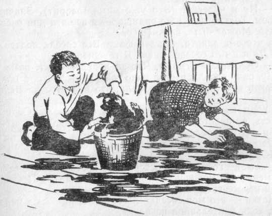 Сила воли - image1.jpg