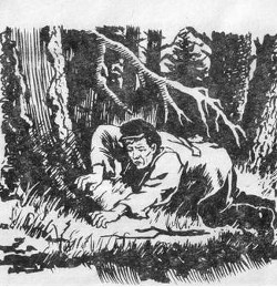 Книга Тайна притока Конды