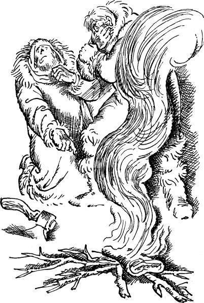 Каркаджу - image14.jpg