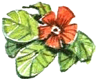 Леди Дейзи - i_025.png