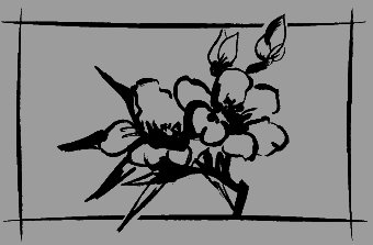 Полная энциклопедия женского счастья - _24.jpg