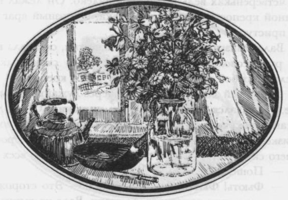 Избранные произведения в двух томах: том I - i_036.jpg