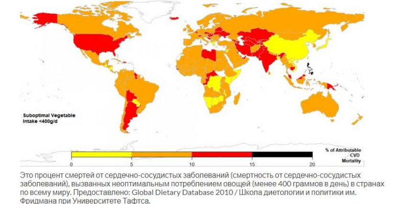 Продукты здоровья и долголетия Продукты здоровья и долголетия