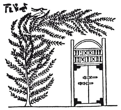 Мифы Древнего Египта Мифы Древнего Египта
