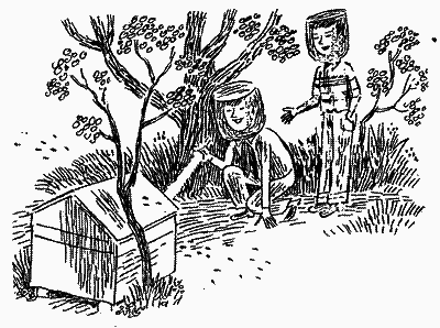 Щоденник Миколки Синицина - i_018.png