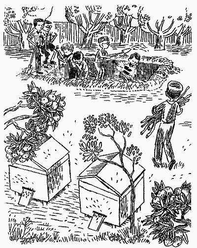 Щоденник Миколки Синицина - i_021.png