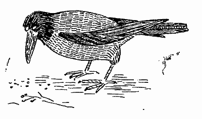 Щоденник Миколки Синицина - i_042.png