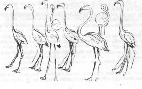 Эдвард Мунк - i_009.jpg