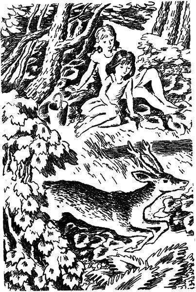 Бурундук - i_009.png