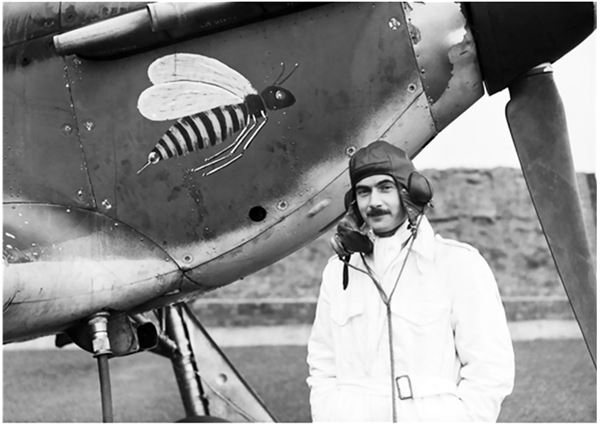 Небо вторжения. Горячее лето 1941 года Небо вторжения. Горячее лето 1941 года