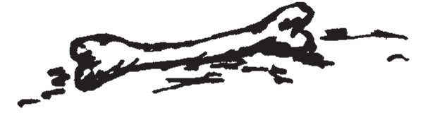 Совершенно не обязательные смерти