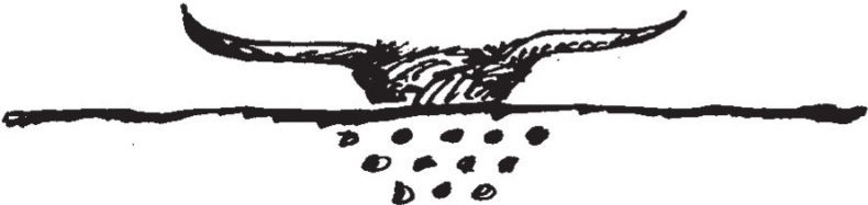 Совершенно не обязательные смерти