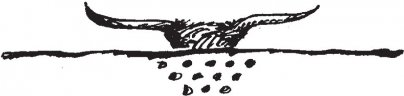 Совершенно не обязательные смерти