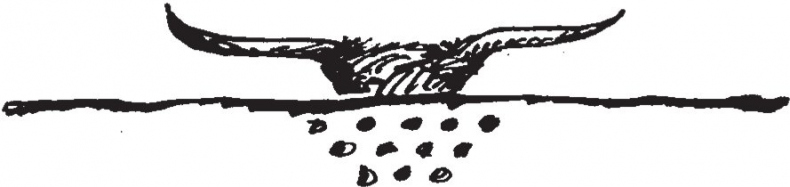 Совершенно не обязательные смерти