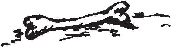 Совершенно не обязательные смерти