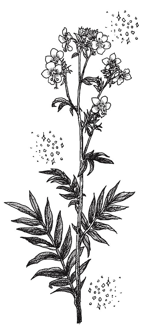 Совершенно не обязательные смерти