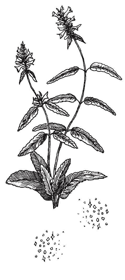 Совершенно не обязательные смерти