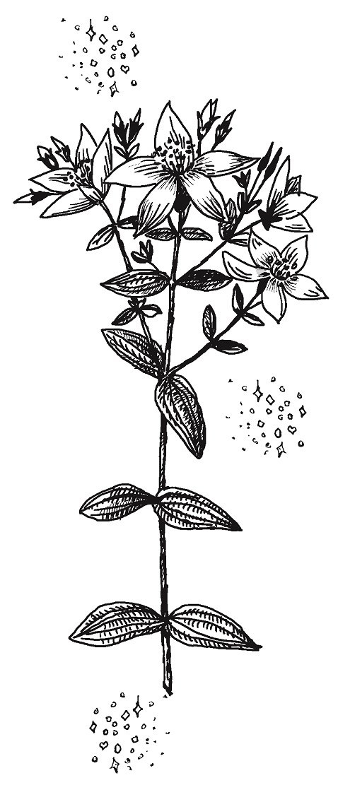 Совершенно не обязательные смерти