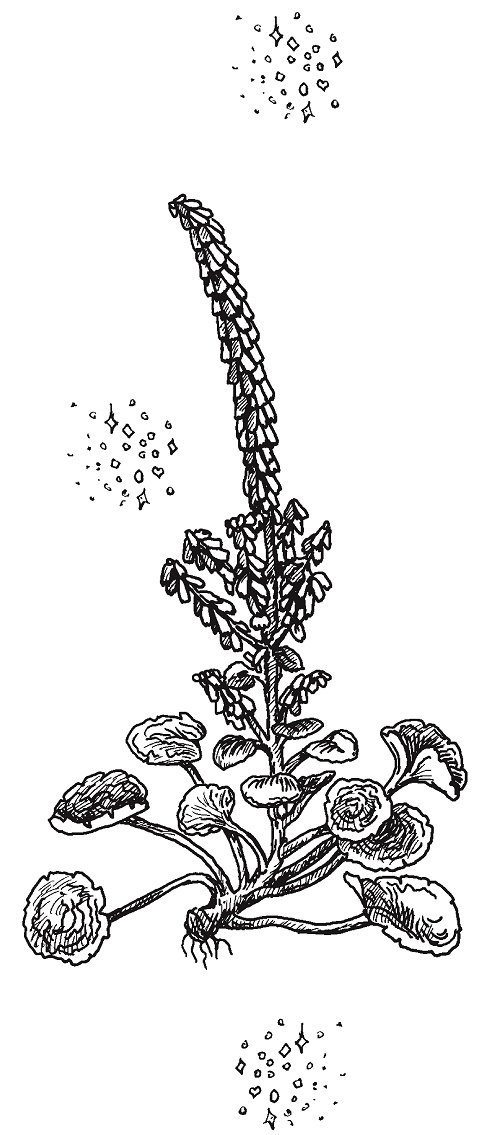 Совершенно не обязательные смерти