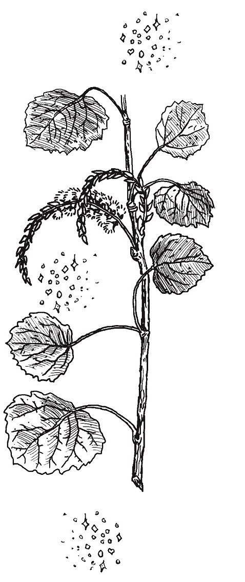 Совершенно не обязательные смерти