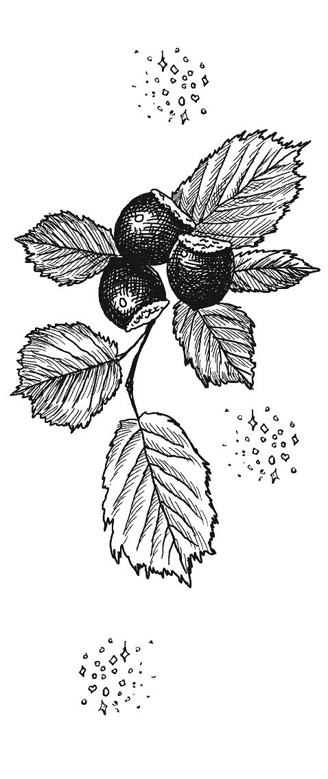 Совершенно не обязательные смерти