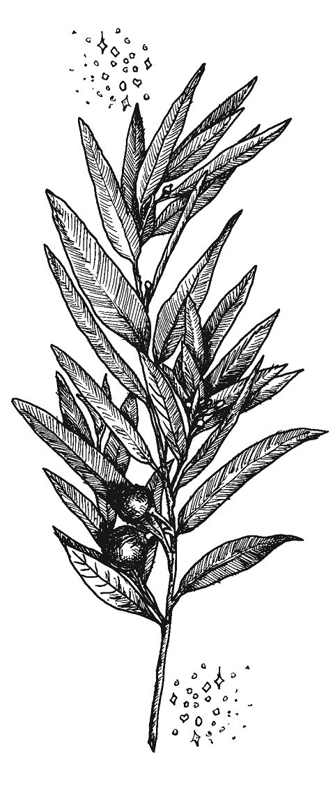 Совершенно не обязательные смерти