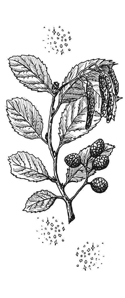 Совершенно не обязательные смерти Совершенно не обязательные смерти