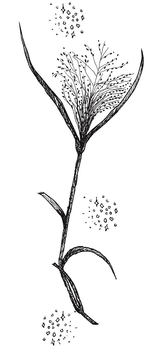 Совершенно не обязательные смерти