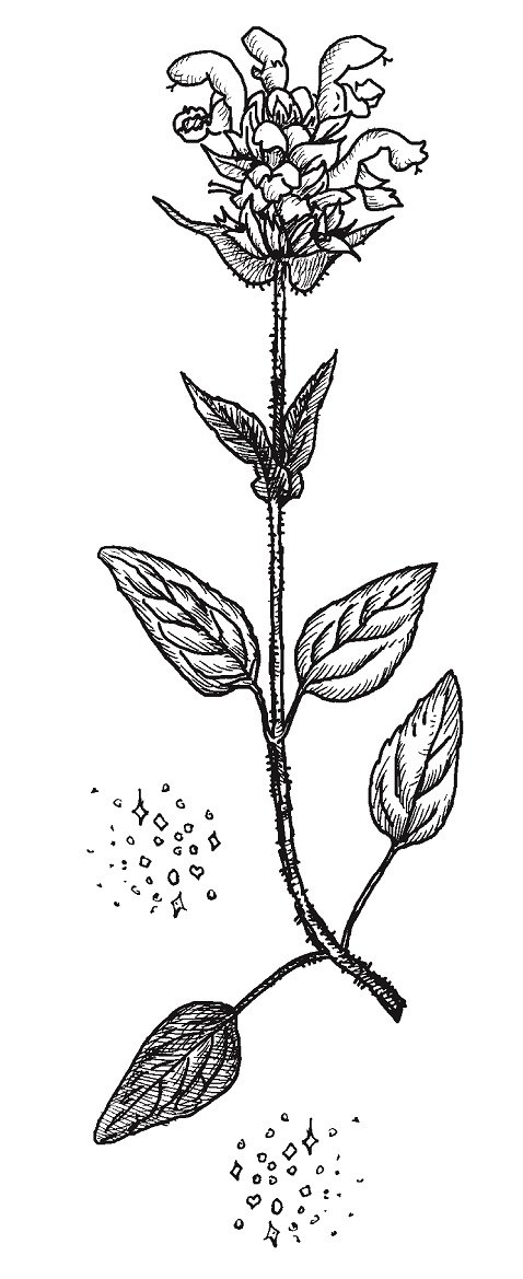 Совершенно не обязательные смерти Совершенно не обязательные смерти