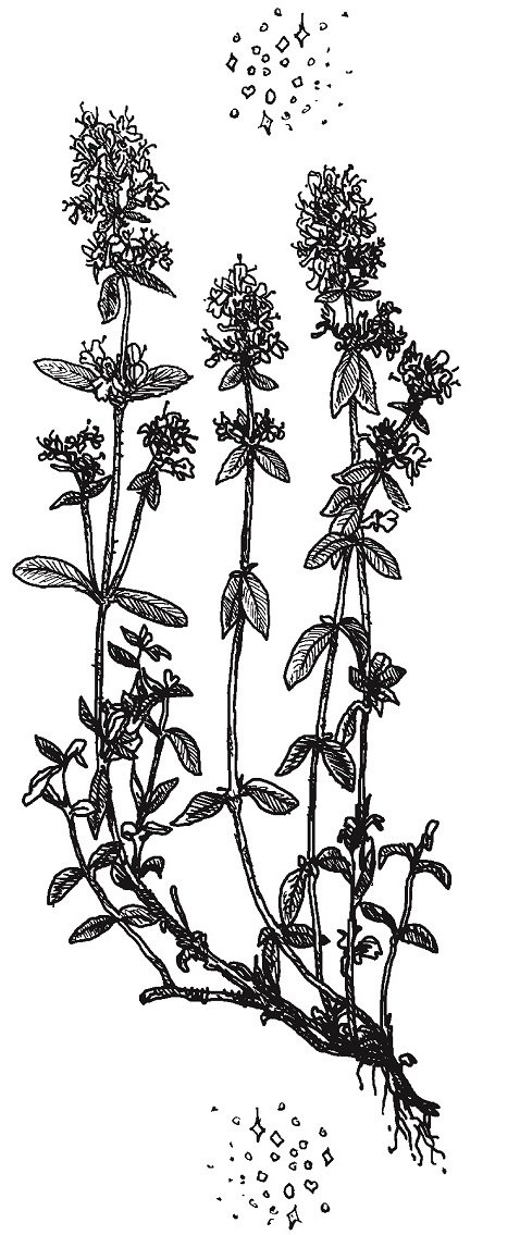 Совершенно не обязательные смерти Совершенно не обязательные смерти