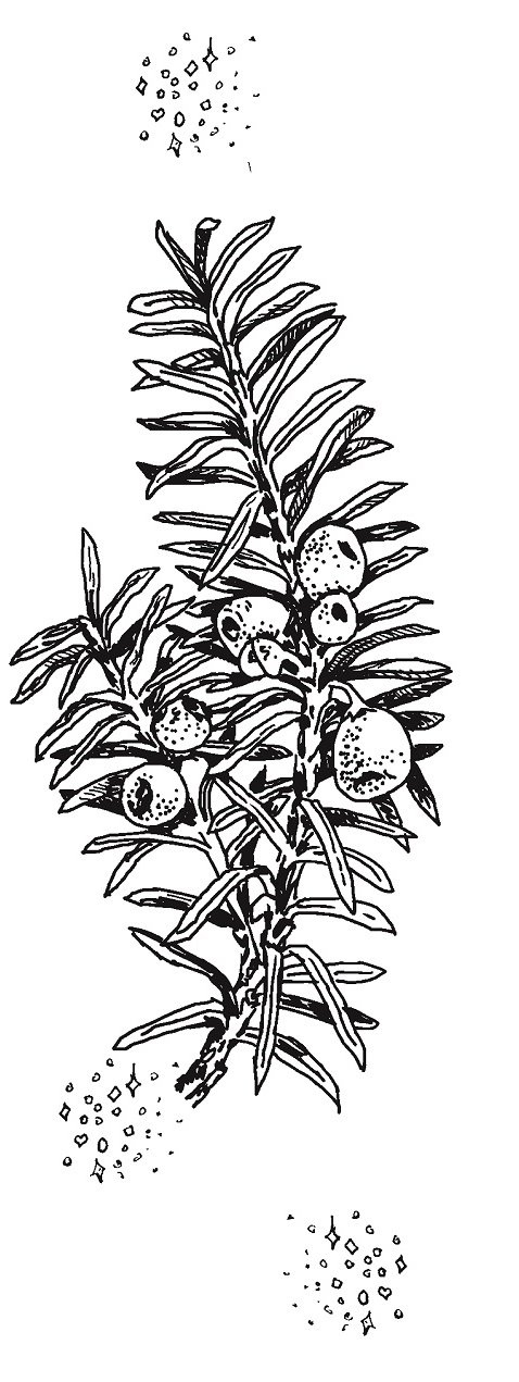 Совершенно не обязательные смерти