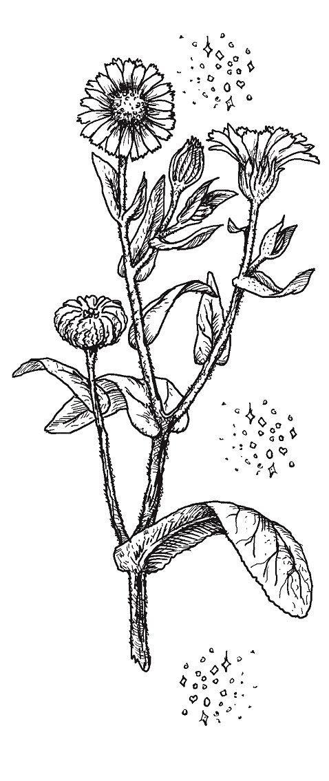 Совершенно не обязательные смерти