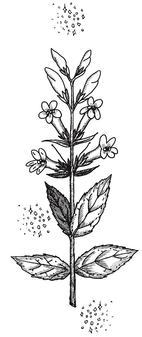 Совершенно не обязательные смерти