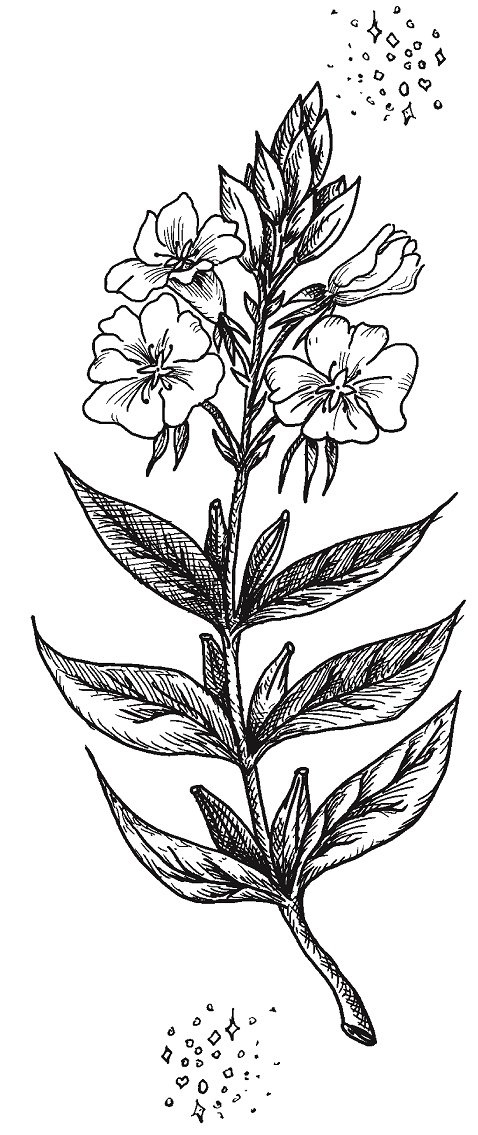 Совершенно не обязательные смерти