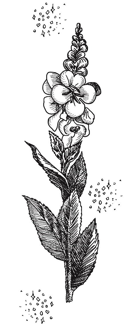 Совершенно не обязательные смерти