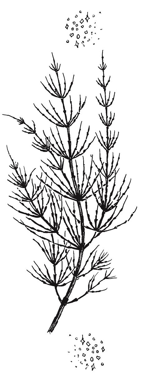 Совершенно не обязательные смерти Совершенно не обязательные смерти