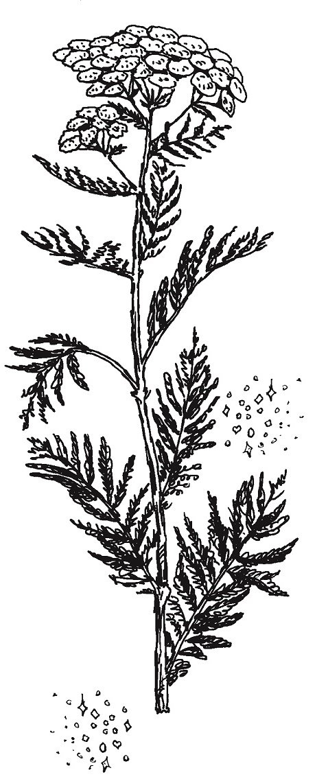 Совершенно не обязательные смерти