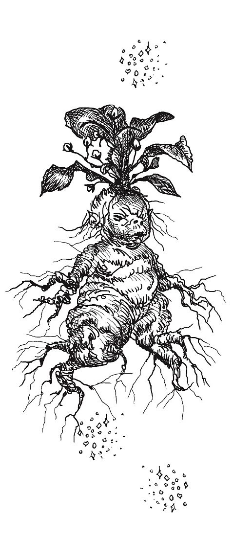 Совершенно не обязательные смерти