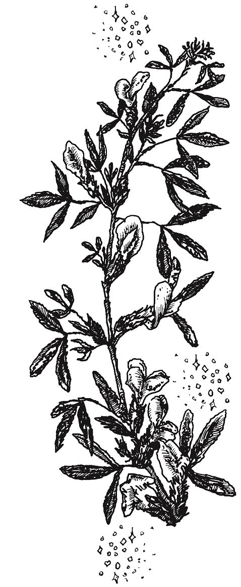 Совершенно не обязательные смерти