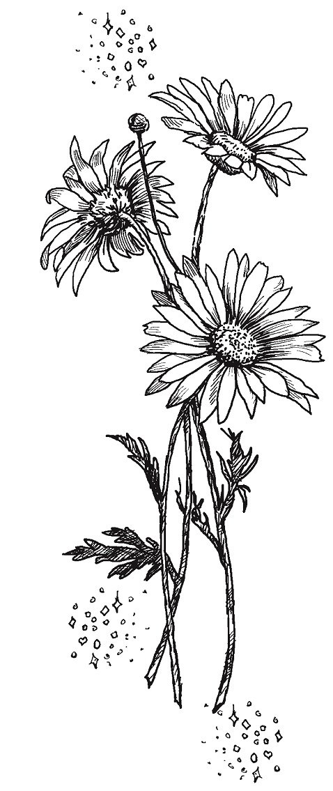 Совершенно не обязательные смерти Совершенно не обязательные смерти