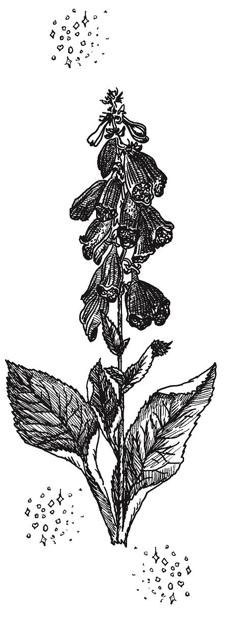 Совершенно не обязательные смерти