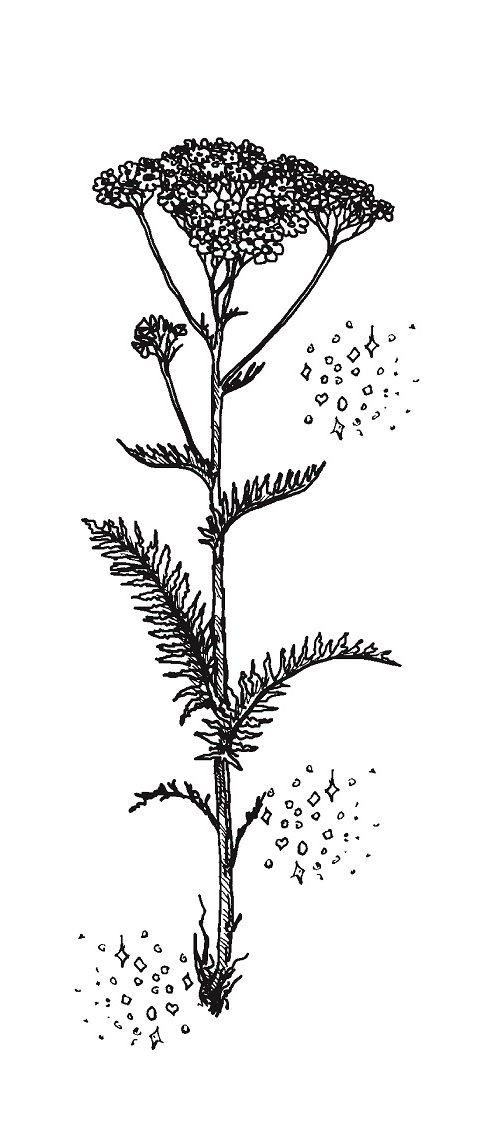 Совершенно не обязательные смерти Совершенно не обязательные смерти