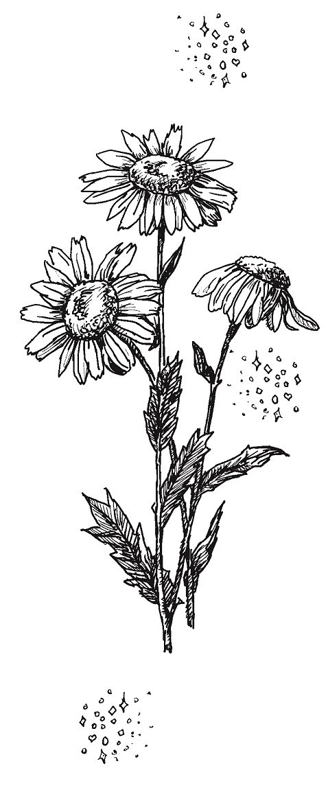 Совершенно не обязательные смерти