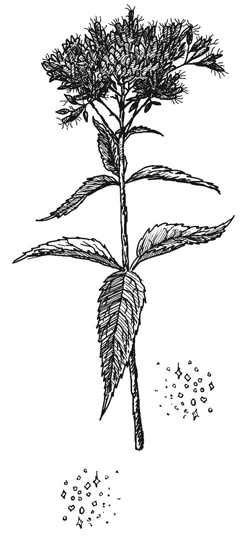 Совершенно не обязательные смерти