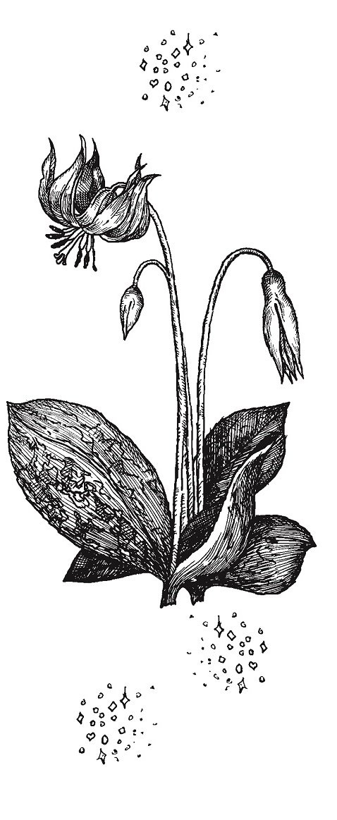 Совершенно не обязательные смерти